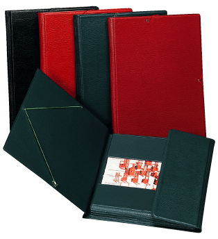 Producto: Carpeta PVC Alta Calidad gomas y solapas