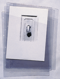 Producto: Fundas Planos PVC